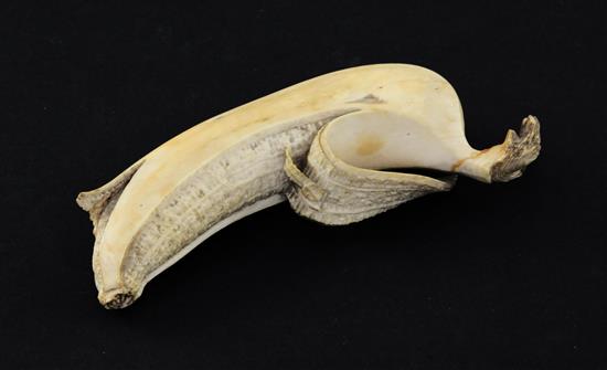 A Japanese ivory model of a partially peeled banana, early 20th century, 4.5cm, unsigned, re-glued section to tip